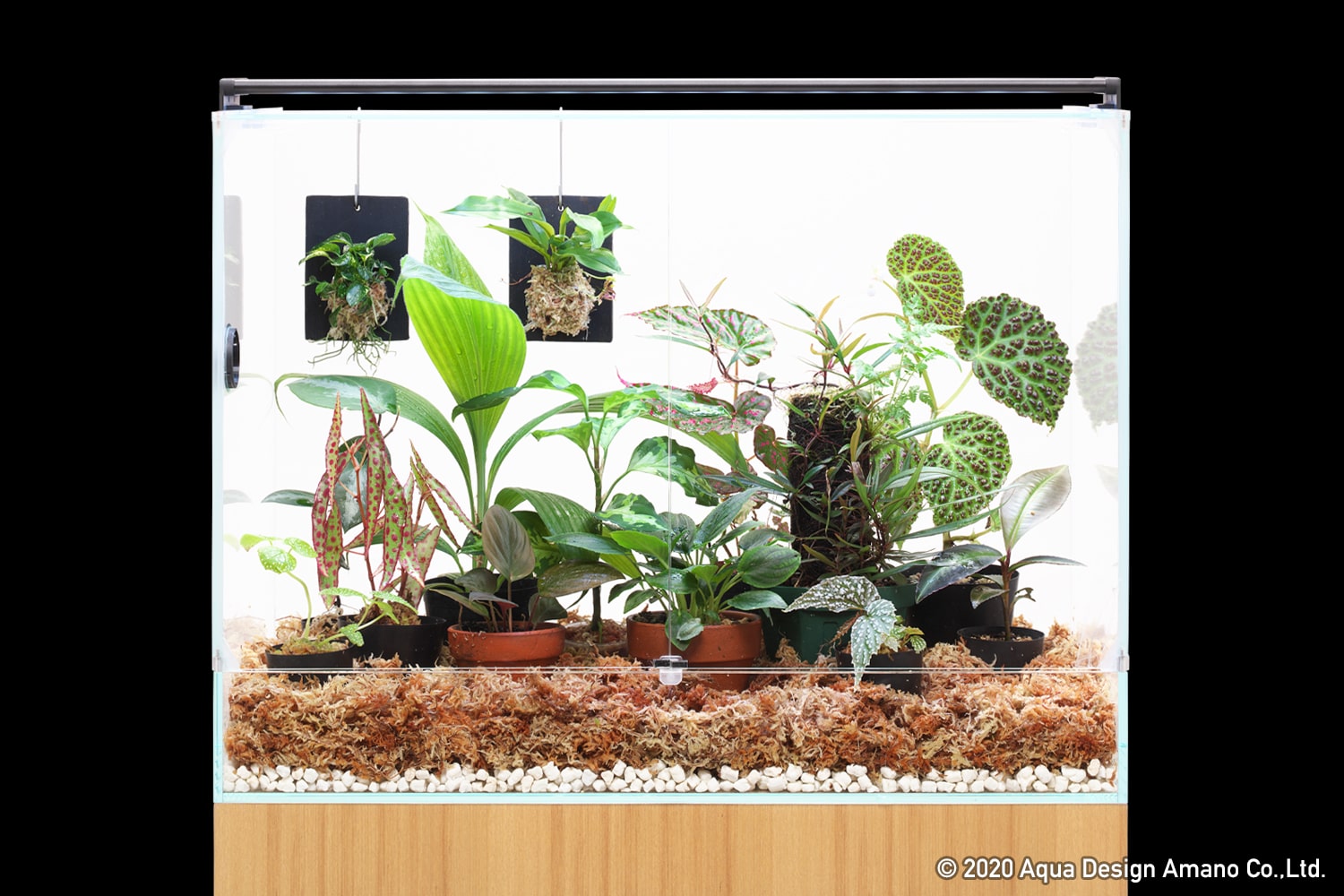 ADA DOOA システムパルダ30+パルダライト30 セット SYSTEM PALUDA