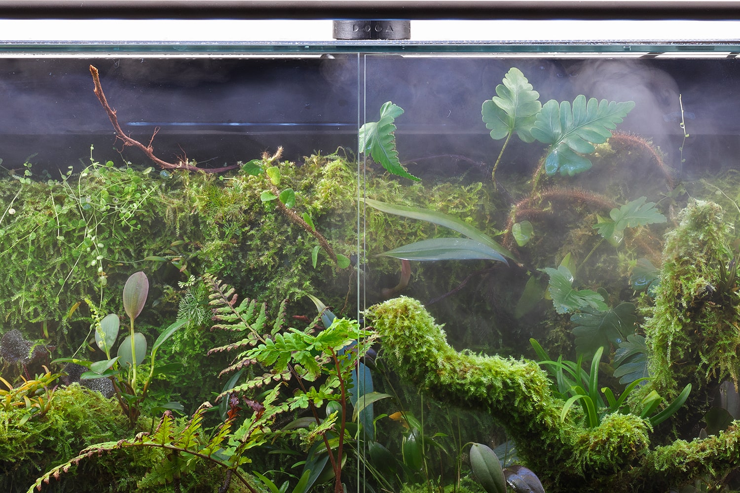 徹底解説「DOOA システムパルダ」PART 1 | AQUA DESIGN AMANO