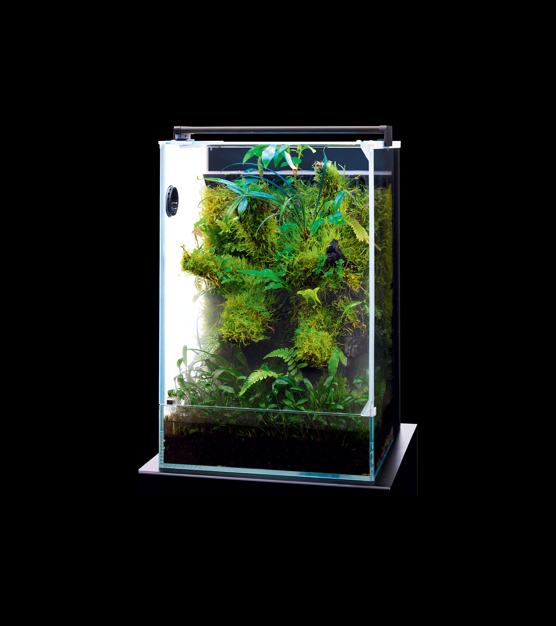 SYSTEM PALUDA | PRODUCTS | DOOA