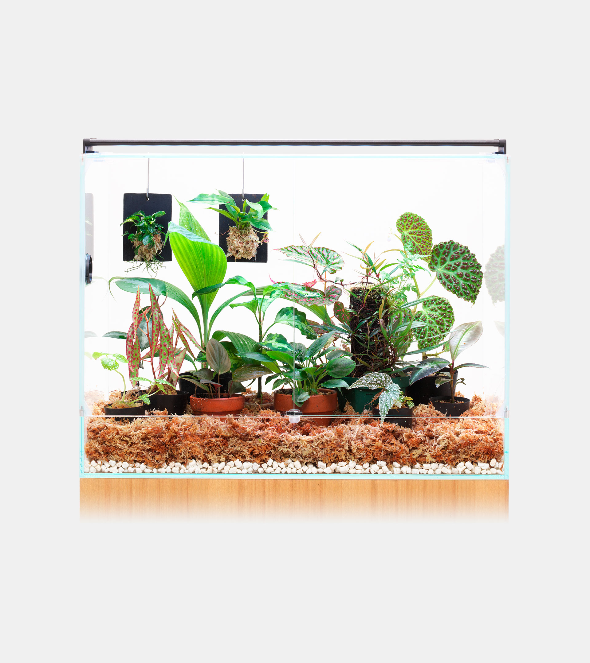 NEO GLASS PALUDA | PRODUCTS | DOOA