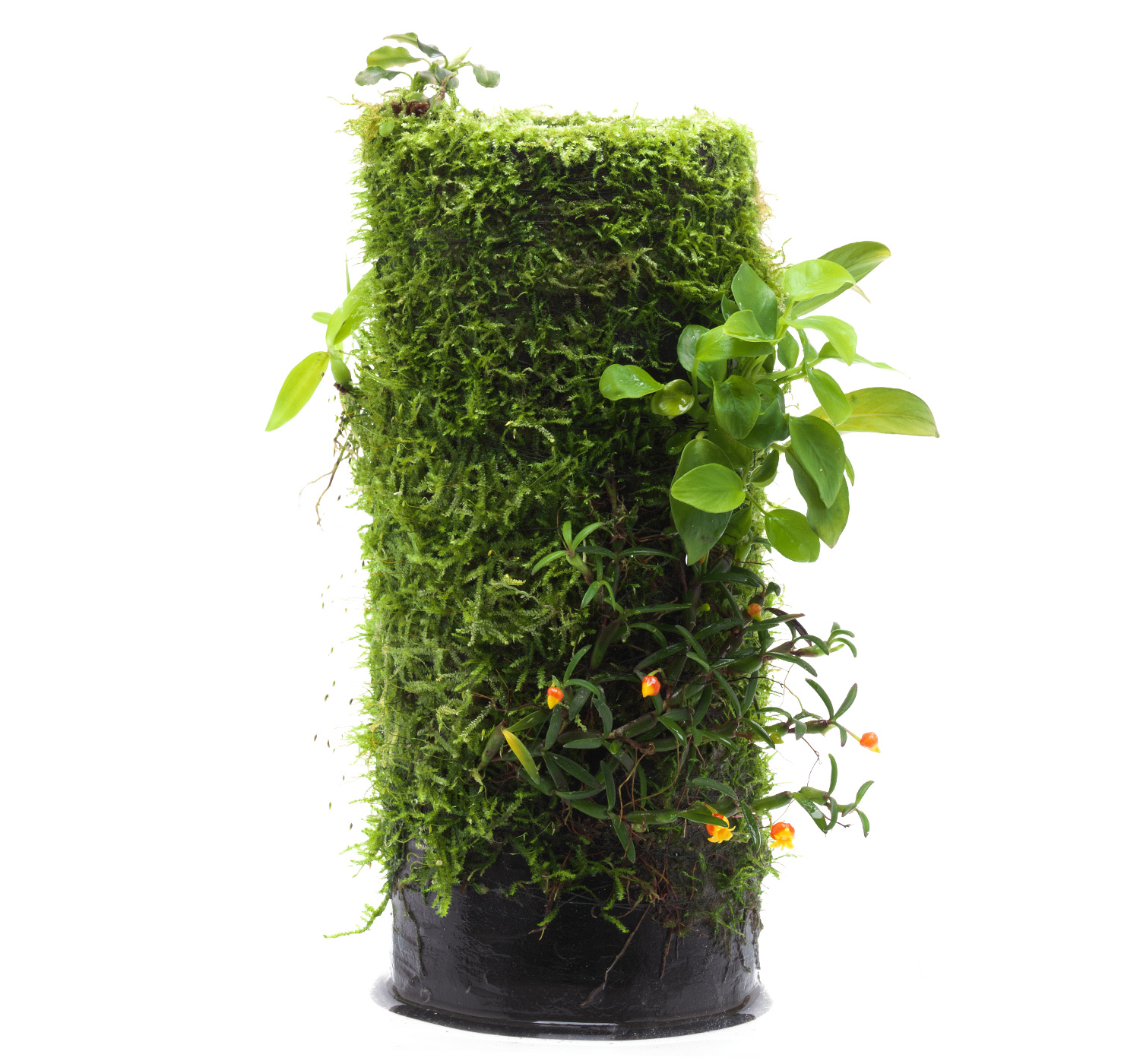 HOW TO ENJOY TERRA BASE PART2 「テラベース制作のマストアイテム