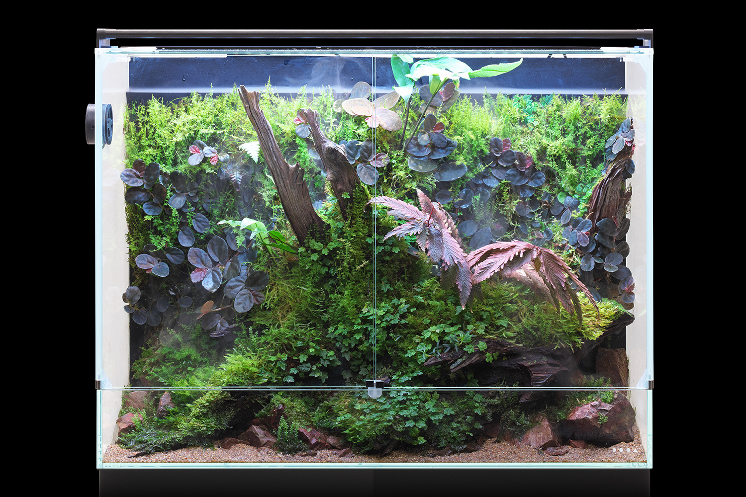 ADA アクアリウム用品 アクアデザインアマノ 20周年 ネイ