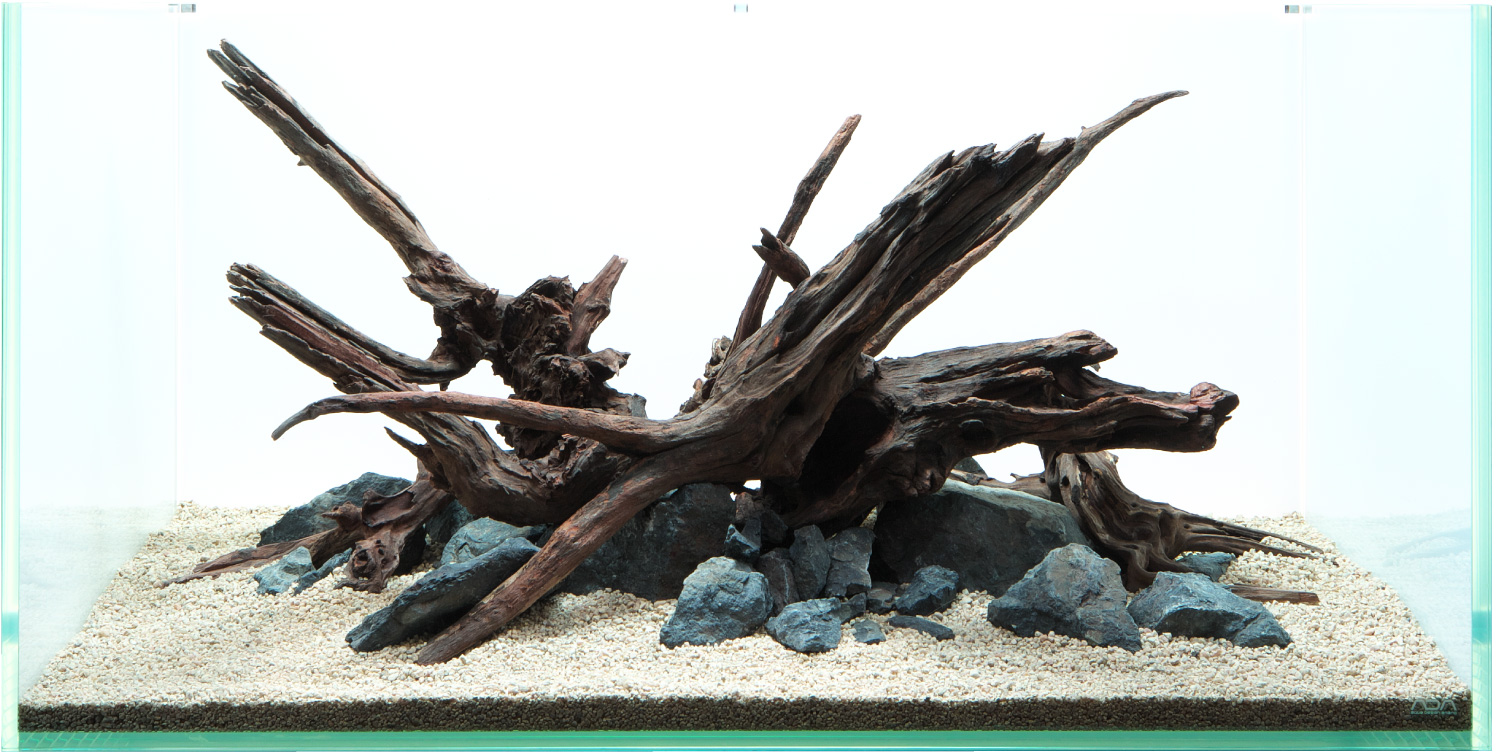 ADAホーンウッド9個 ADA ホーンウッド 流木 9本 まとめ売り 【公式通販】