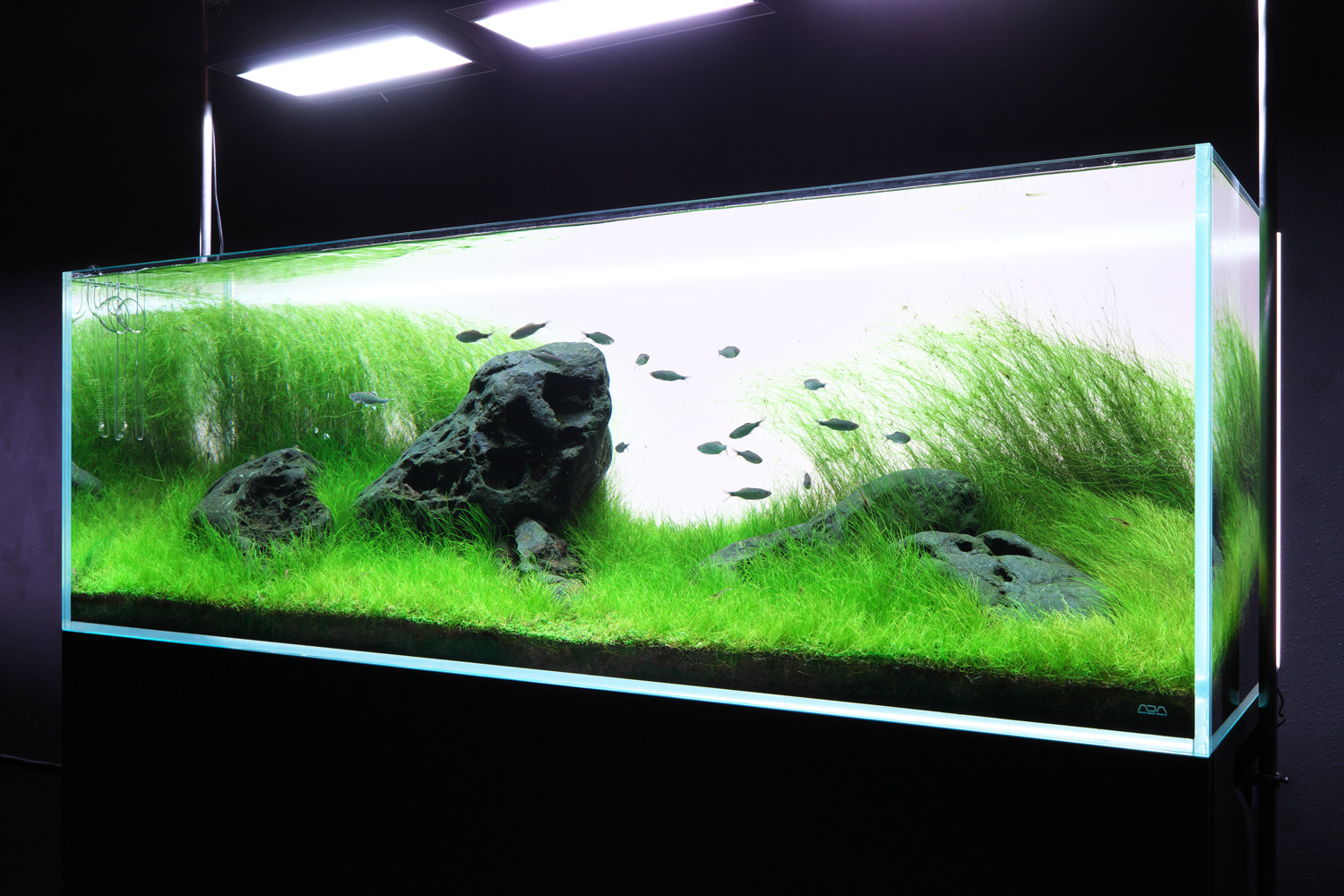 専用 アクアデザインアマノ Nature Aquarium World 作品集 専用 アクア