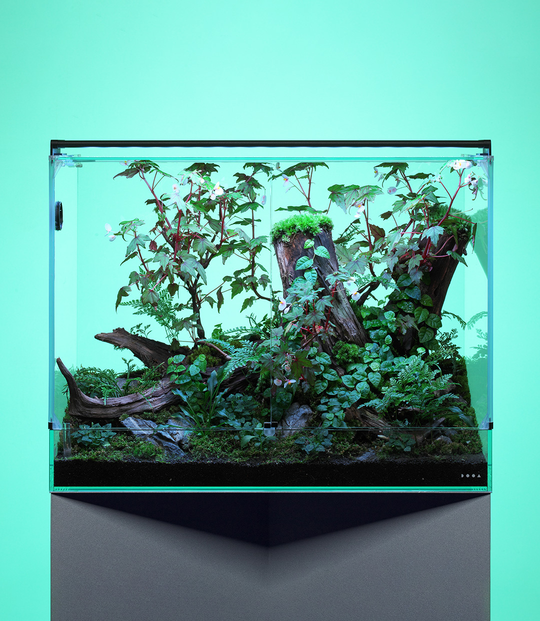 ADA キューブガーデン （W600×D300×H360） 【公式通販】