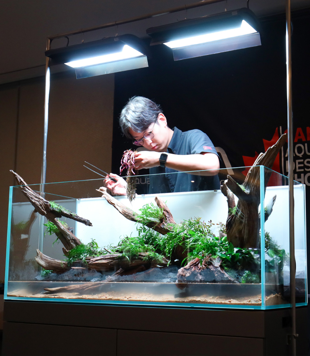 ADA Balance of Nature ポスター 天野尚 アクアリウム Balance of