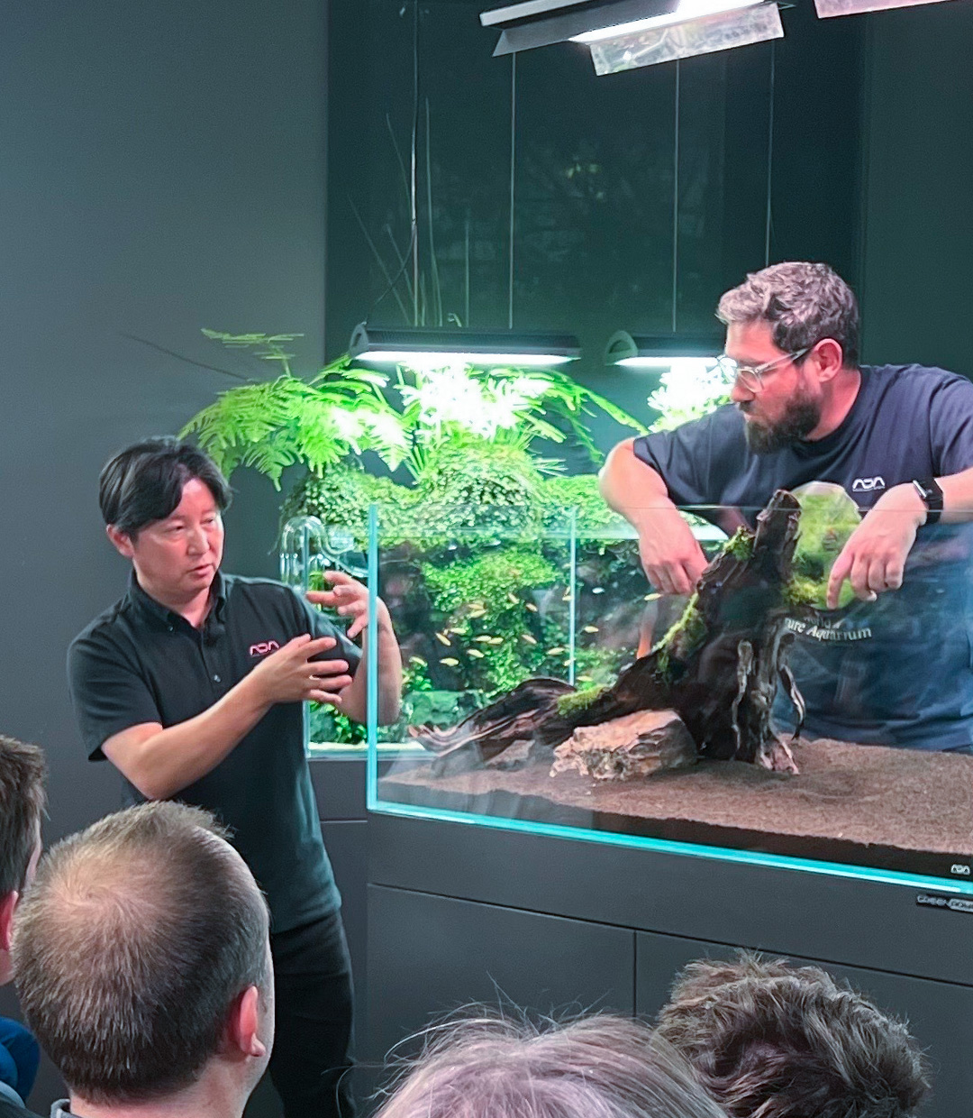 ADA 陶製ミニ・シリーズ 5個 ADA 陶製ミニ・シリーズ 5個