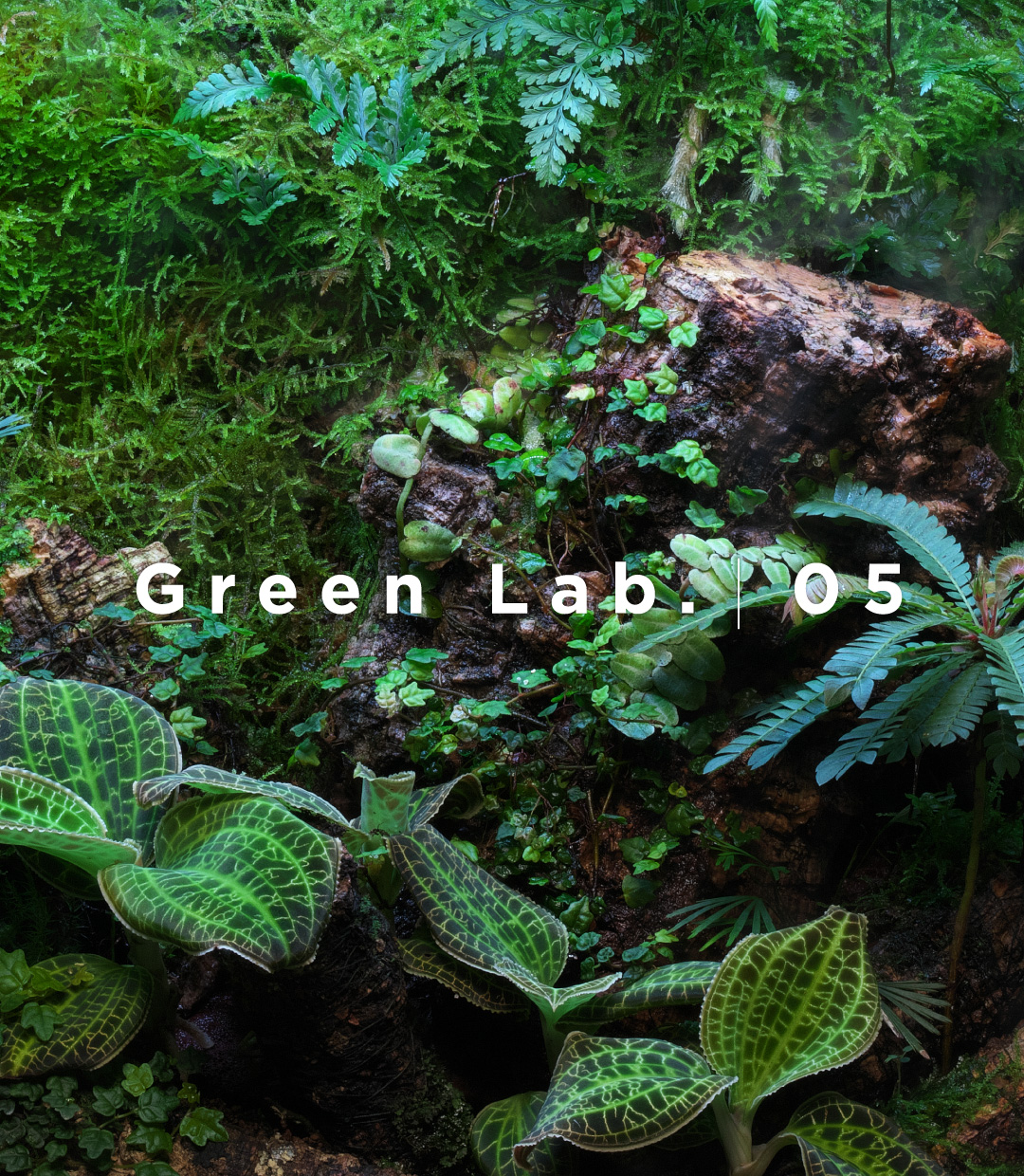 ADA サンドフラッター 旧タイプ ADA サンドフラッター 旧タイプ ADA