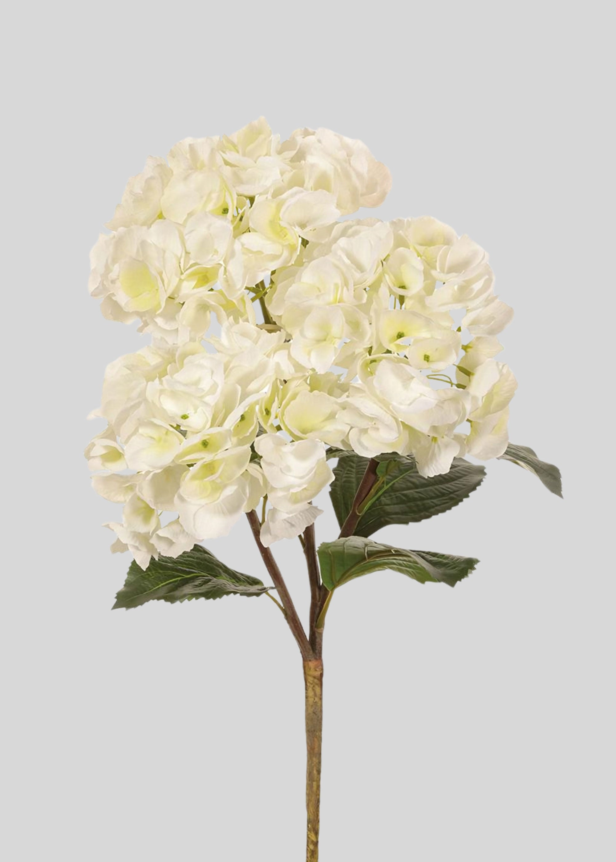 Large Hydrangea in Cream White | Faux Wedding Flowers | Afloral