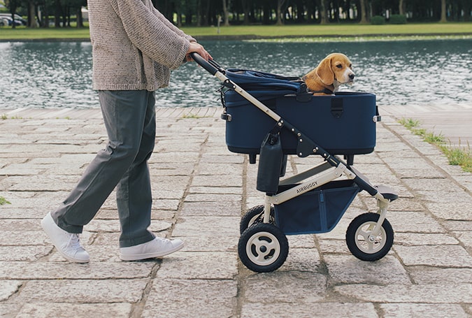 LIMITED EDITION』 DOME3 PREMIER LARGE “CRUISE LINE”クルーズライン