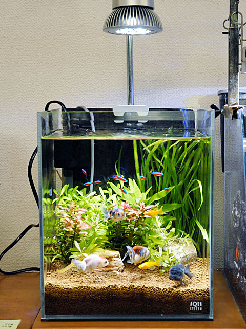 アクアシステム クリスティ 3060 価格