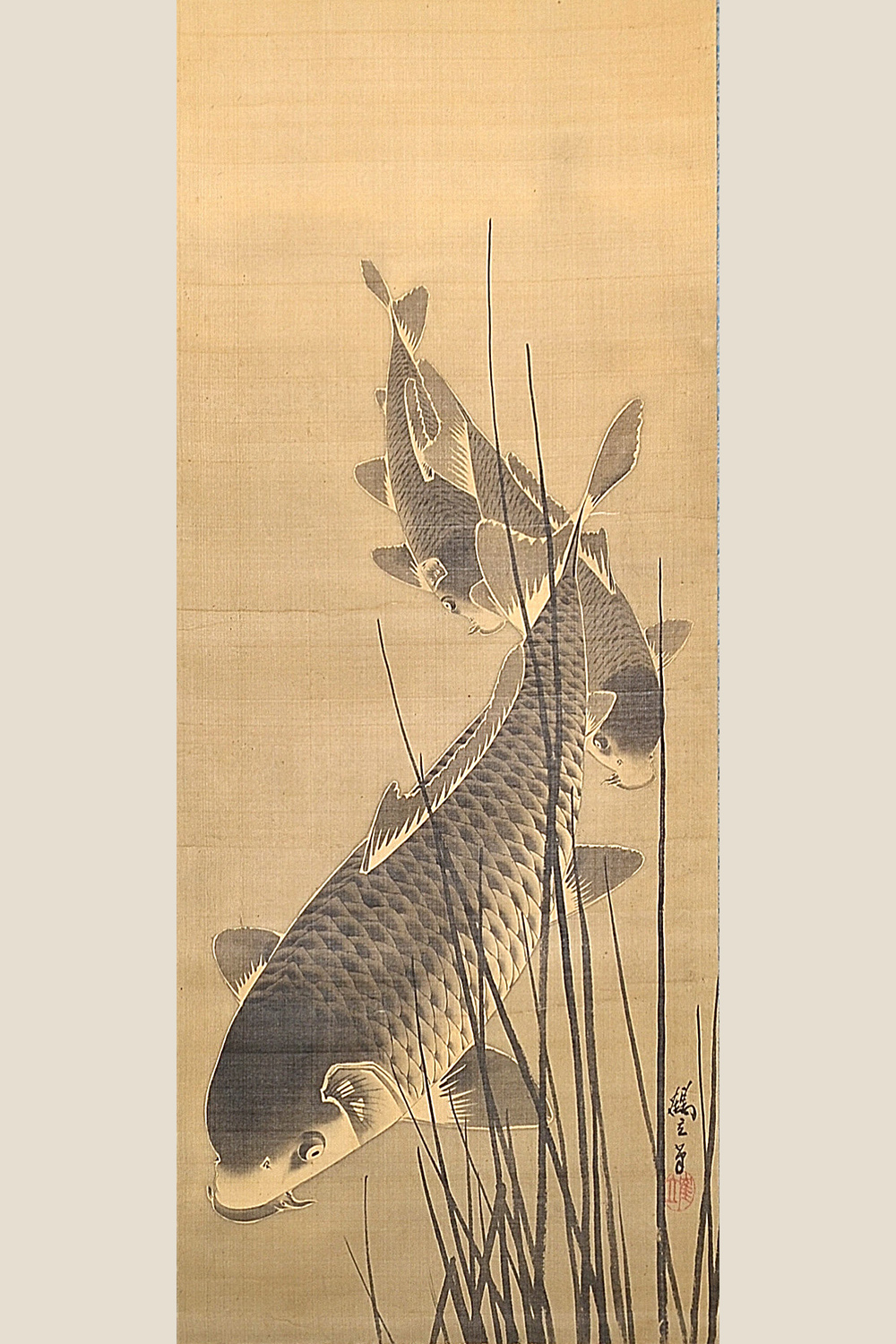AKa6922 伊藤雲棟 因幡鯉図 肉筆 掛軸 AKa6922 伊藤雲棟 因幡鯉図