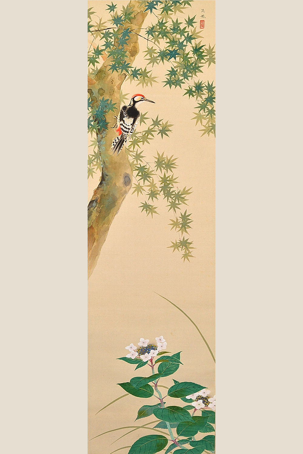 作品紹介 | 三輪晁勢 青紅葉に大赤啄木鳥