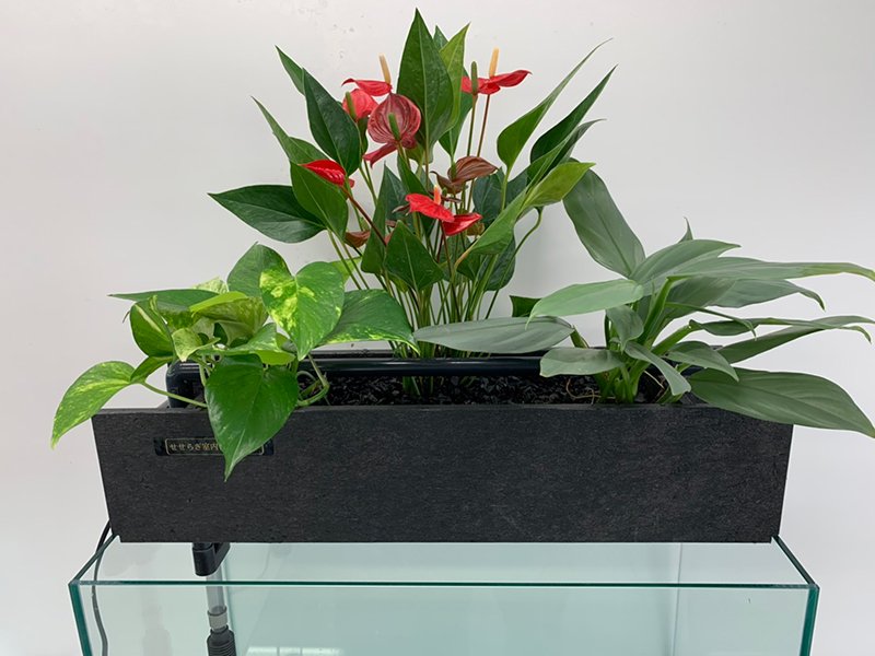 せせらぎ室内ビオトープ / 株式会社西条庭園 | GOOD AQUARIUM Design Award