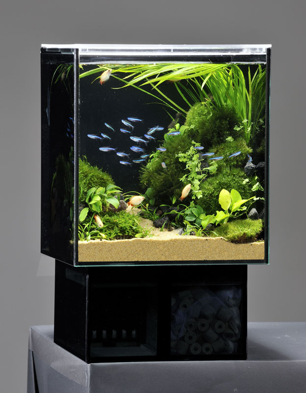 ジェックス グラステリアAGSスライド OF－230 オンラ