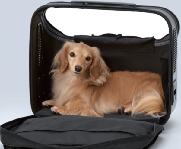 待望の！ゆったりワイドなOSOTOトラベラー 犬 猫 飼育用品 ジェックス