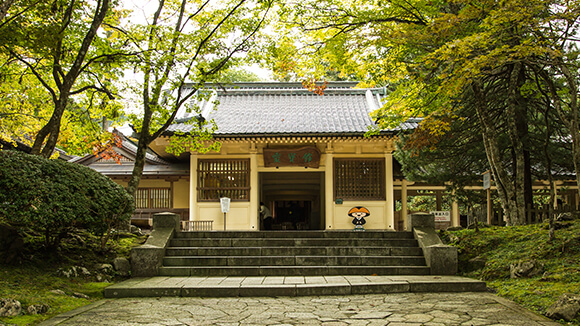 掛軸 高野山 金剛峯寺 白象 亡き母の小さき座布団伊予絣 木箱付き 森寛