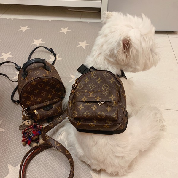 LOUIS VUITTON ルイ ヴィトン モノグラム 首輪 リード