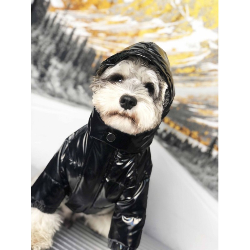 ハイブランド モンクレール ペット服 犬 冬服 moncler 犬用ダウン