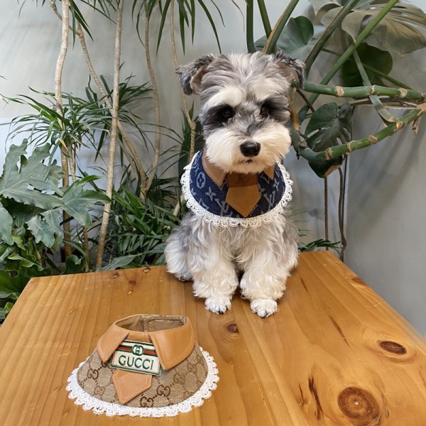 LOUIS VUITTONルイ・ヴィトンモノグラム小型犬リード&首輪