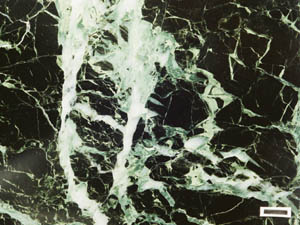 石材図鑑 チャート・蛇紋岩 （佐渡赤玉・貴蛇紋）