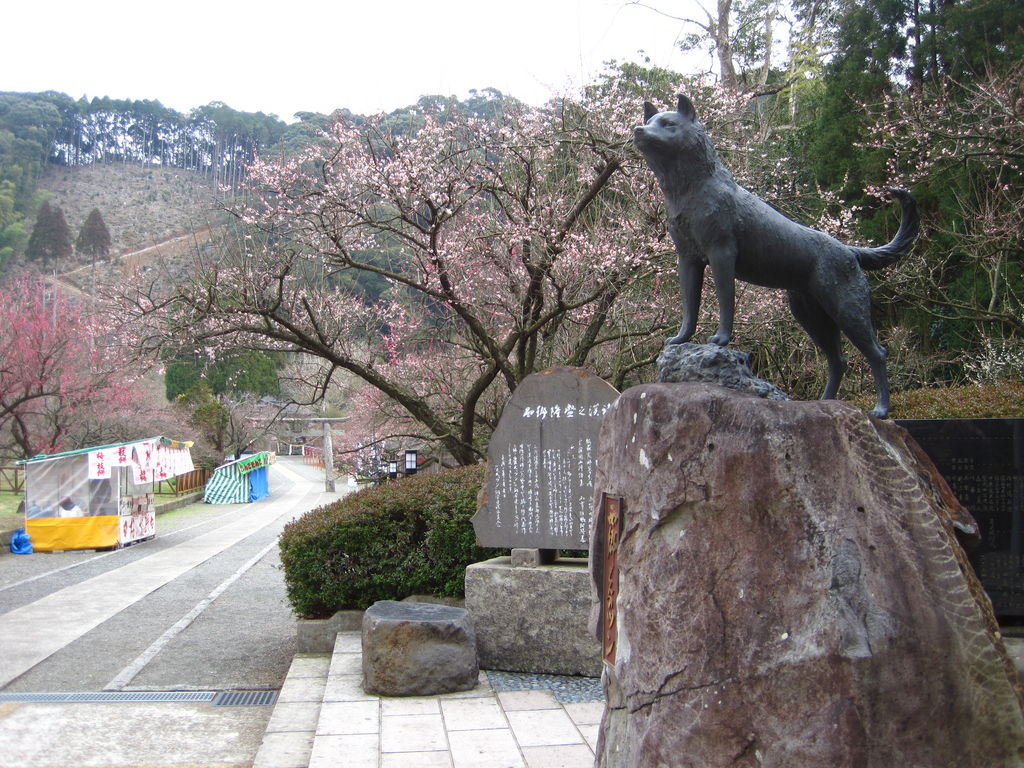 立派な銅像 - 西郷隆盛愛犬ツンの銅像のクチコミ - じゃらんnet