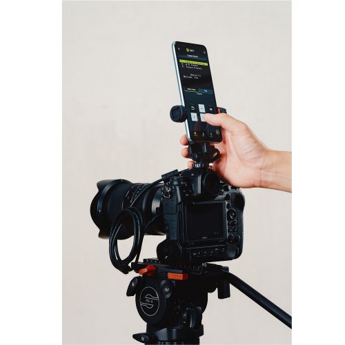 荻窪カメラのさくらや / タムロン 35-150mm F2-2.8 Di III VXD ニコンZ