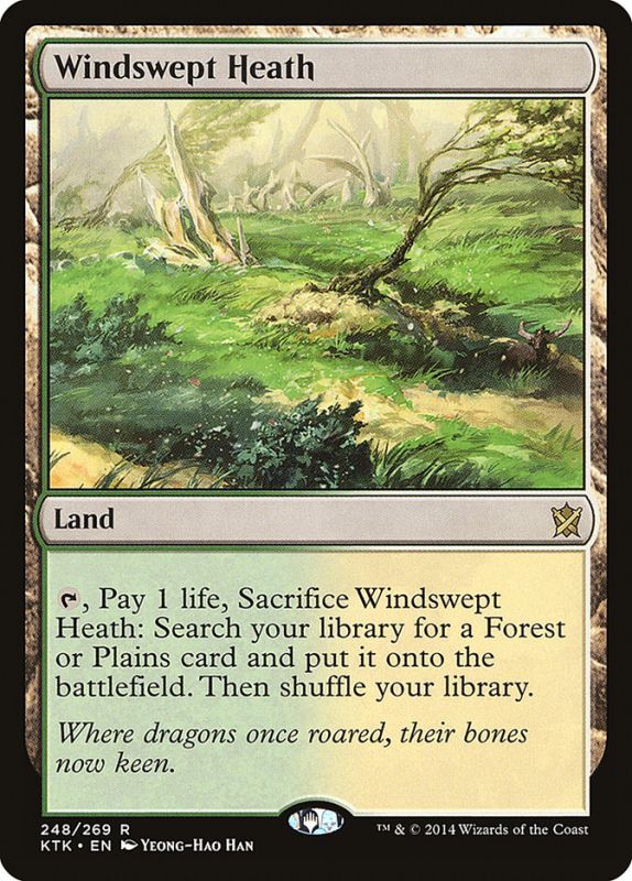 吹きさらしの荒野/Windswept Heath》[KTK] - MTG専門店 Initiative