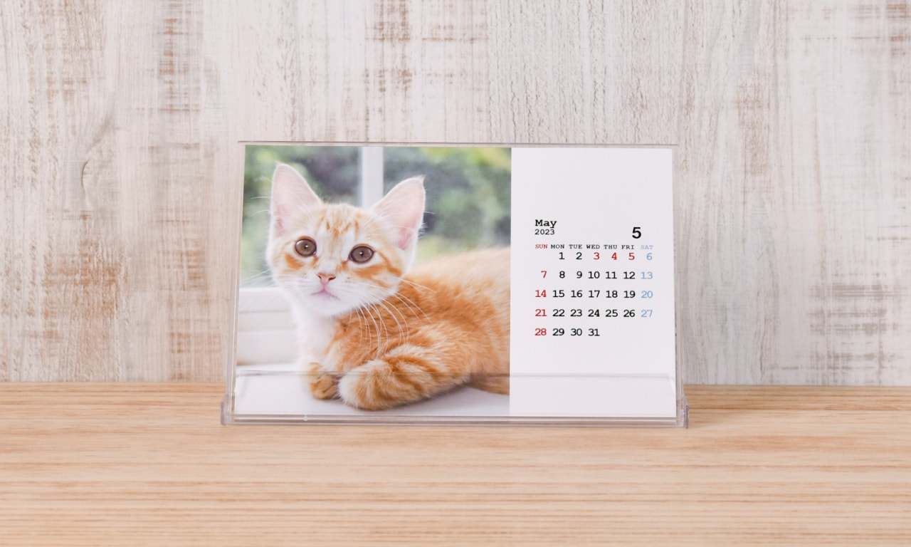 その他 apple postcard set x3 COUPLE | Postcard set | ZERO PER ZERO_JP