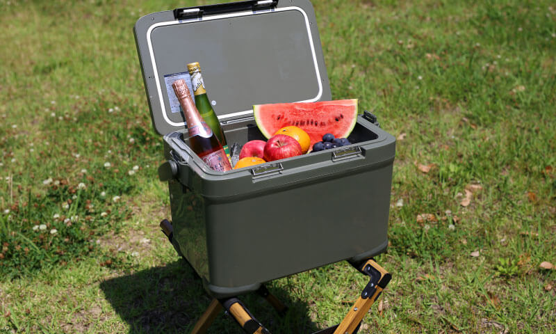 シマノ(SHIMANO) NX-022V アイスボックス PRO 81802｜アウトドア用品