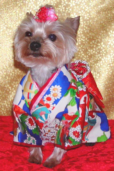 犬服 user_ae5617a1様専用 振り袖 ハンドメイド ご確認Tambedy