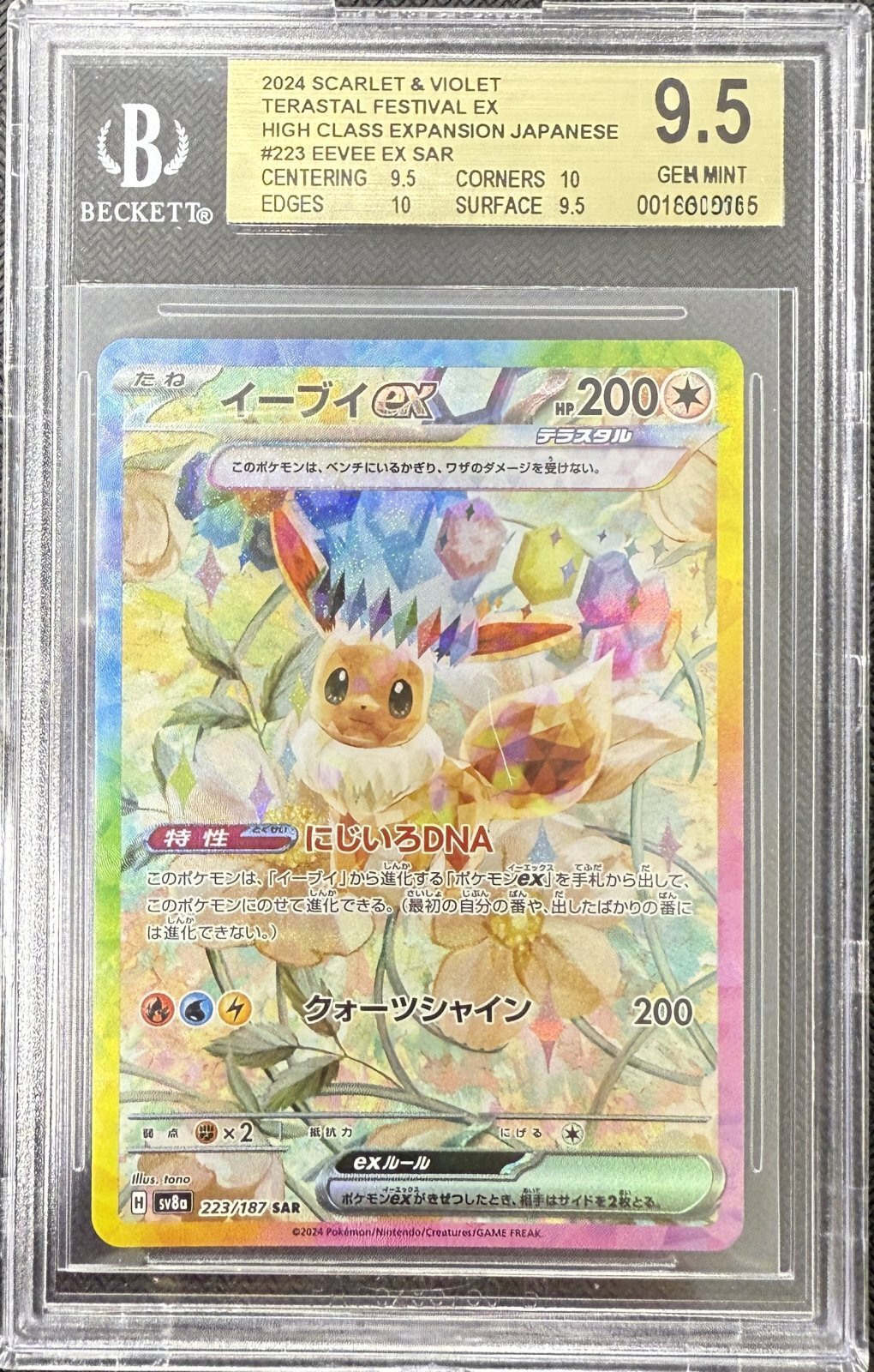 イーブイex SAR 223/187 ホロズレ エラー ポケモンカード イーブイEX