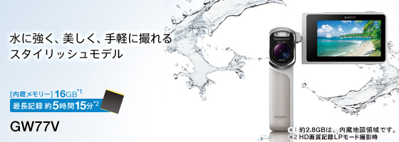 即発送】防水ビデオカメラHDR-GW77Vと別売付属品(おまけ付き) SONY HDR