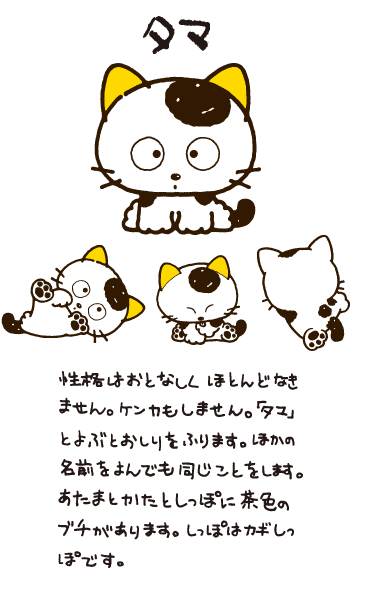 タマ&フレンズハンディクリーナーうちのタマ知りませんかヴィンテージ