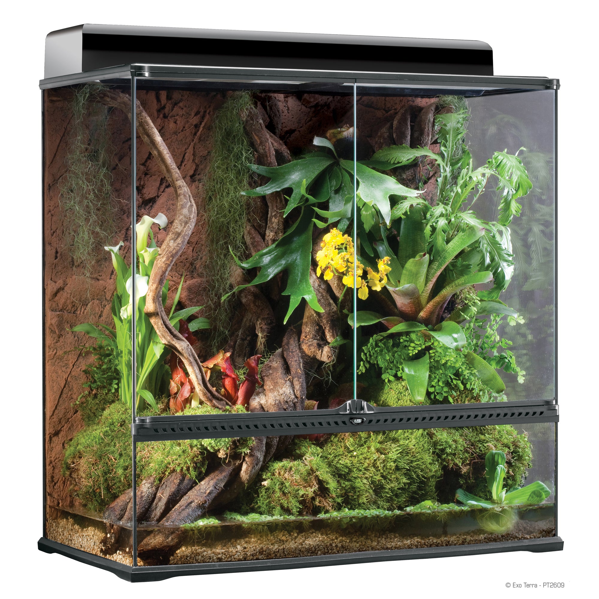 EXO TERRA Pro Terrariums - In Store Pickup Only – Scales and Tails