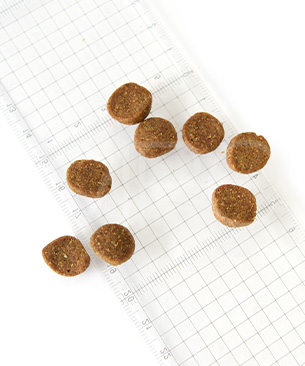 アカナ DOG シニアドッグレシピ 2kg | プレミアムドッグフード専門店