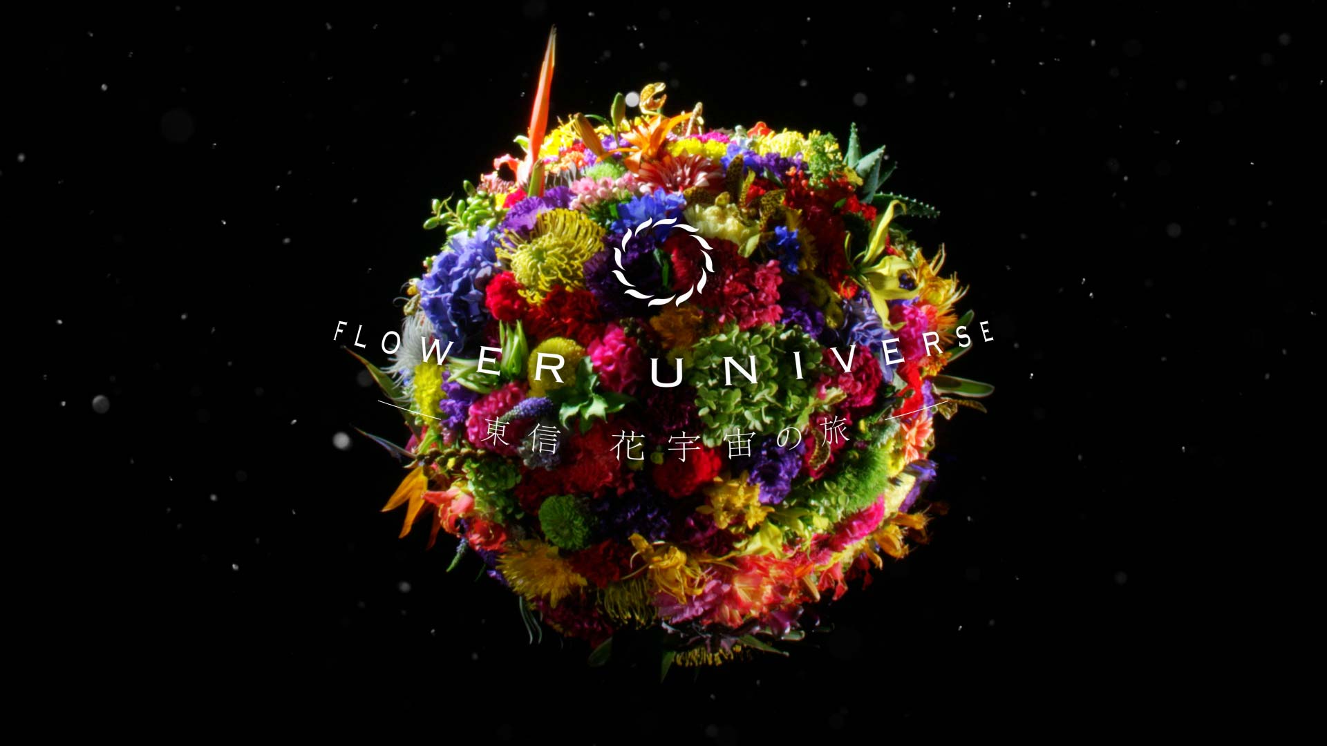 羽田空港国際線旅客ターミナル PLANETARIUM Starry Cafe「Flower