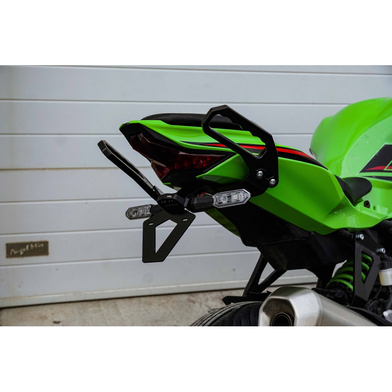 Kawasaki ZX4-R passenger handles