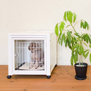 楽天市場】[翌日発送][ペットケージハウスAS60]小型犬用 ケージ 多頭