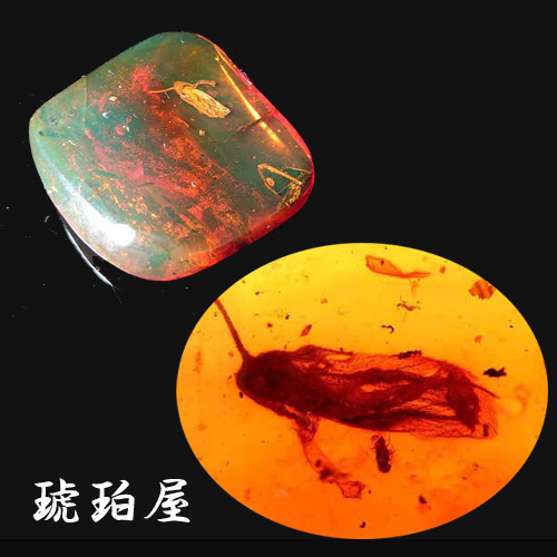 天然化石 琥珀 チェリーレッド ブルー アンバー 宝石 原石 天然石 鑑賞