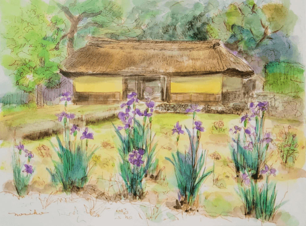 PROFILE – 山中のりこ公式サイト