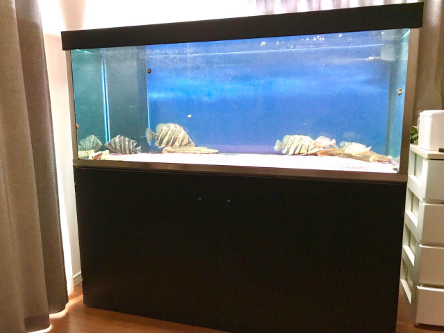 埼玉県T・Zさま オーバーフローセット（1500×600×600）｜すいそうやさん