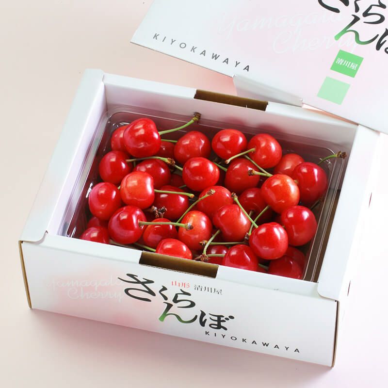 佐藤錦 特選バラ詰め 2L 500g 山形さくらんぼ大粒食べきりサイズ｜清川屋