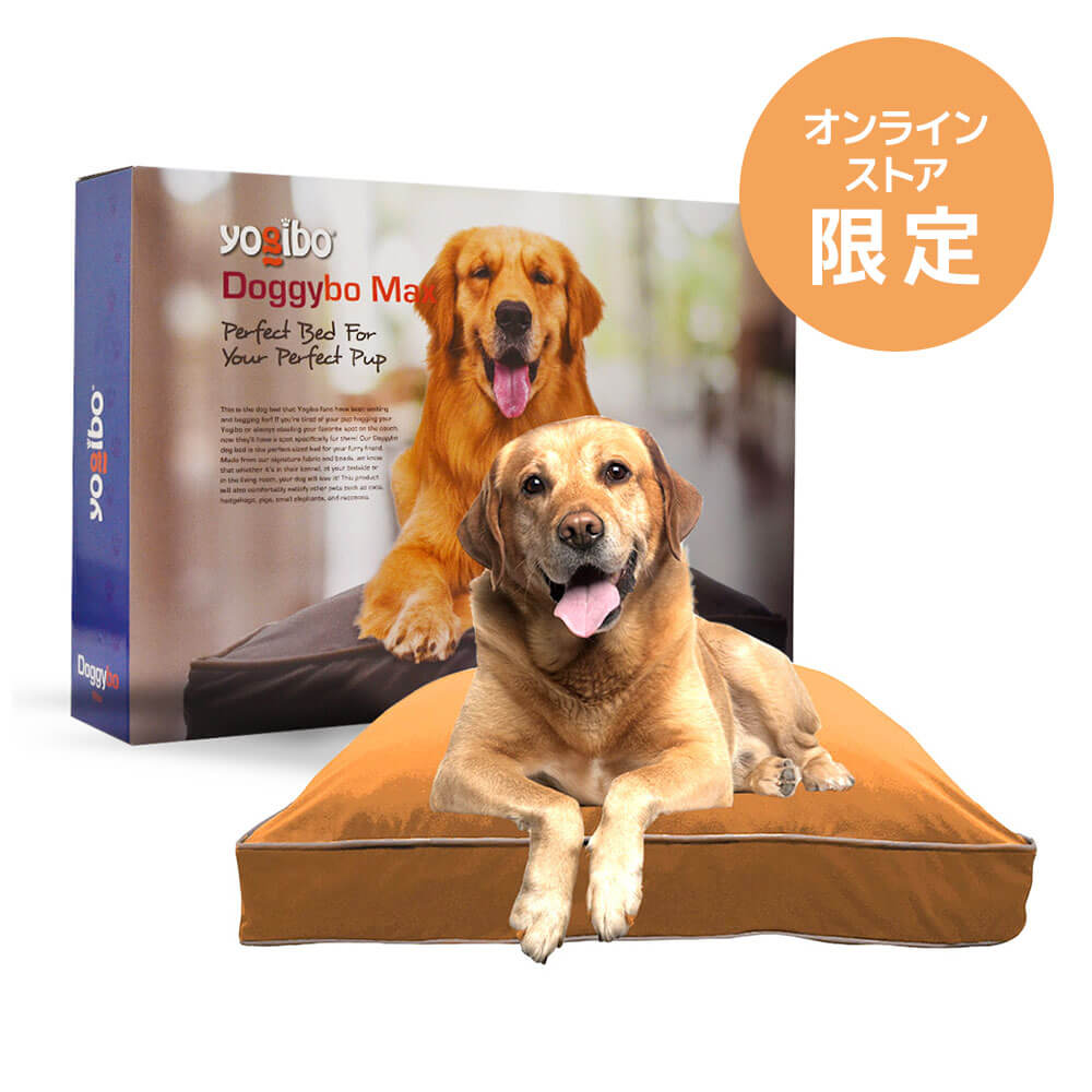公式】【オンラインストア限定】Doggybo Max（ドギボー マックス