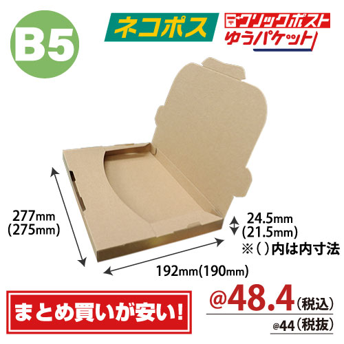 ZAP 差込み式メール便ケース クロネコDM便 ゆうパケットA5サイズ