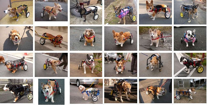 犬の車椅子・犬用車椅子(歩行器)製作・販売 アドワークス
