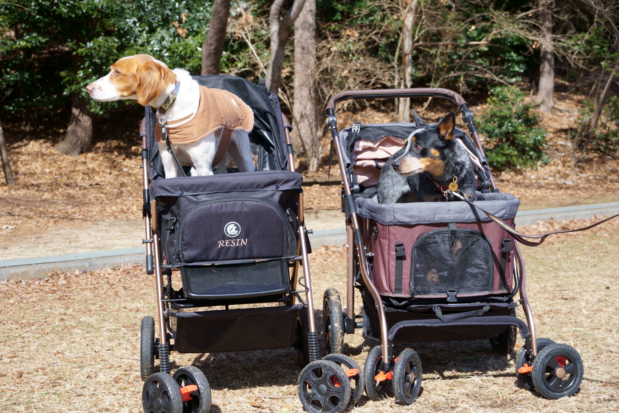 ペットカート/オールワンフリーダム - オールフォーワンズライフ公式