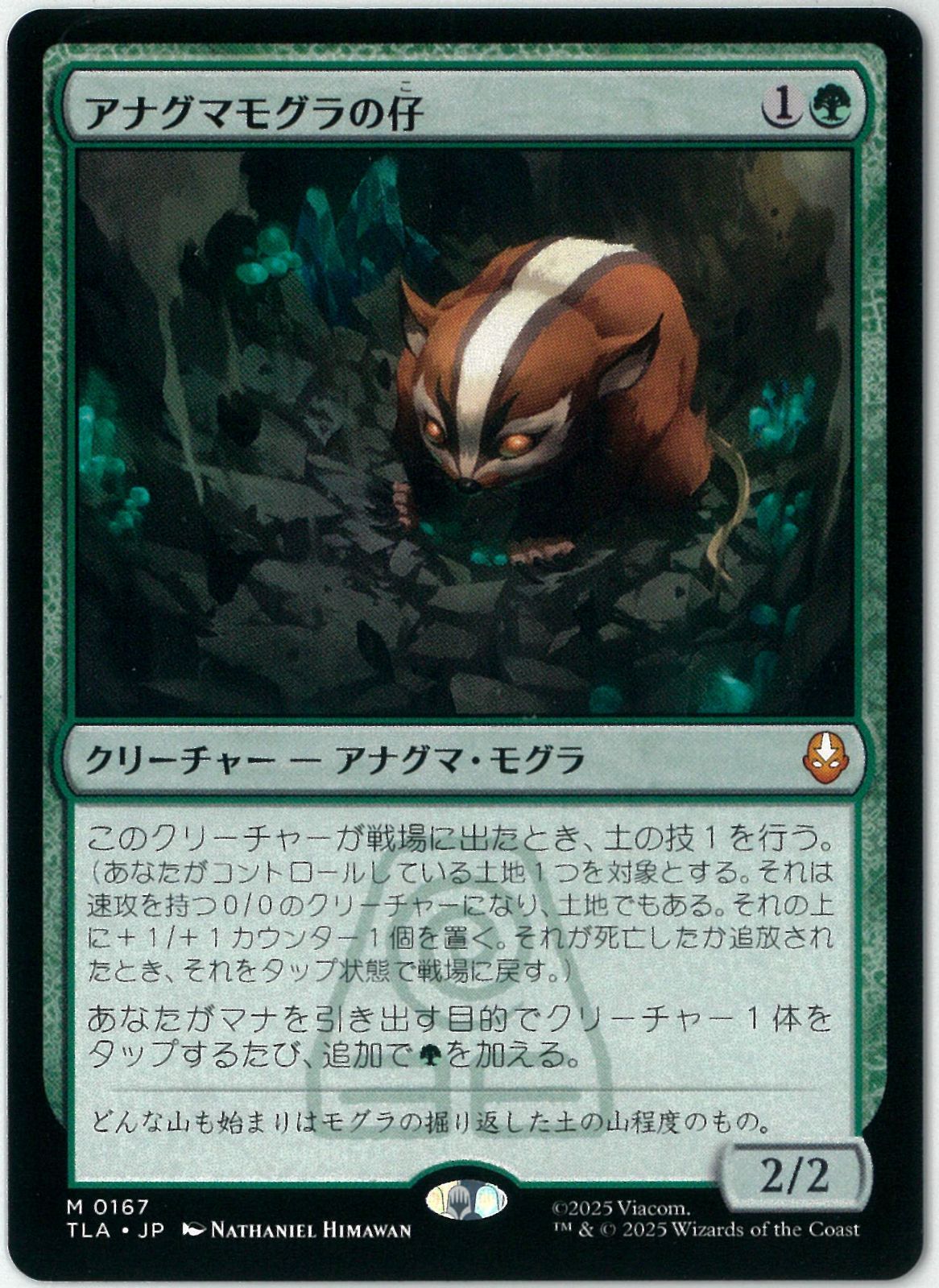 アナグマモグラの仔 英語版 2枚セット アナグマモグラの仔 英語版 2枚