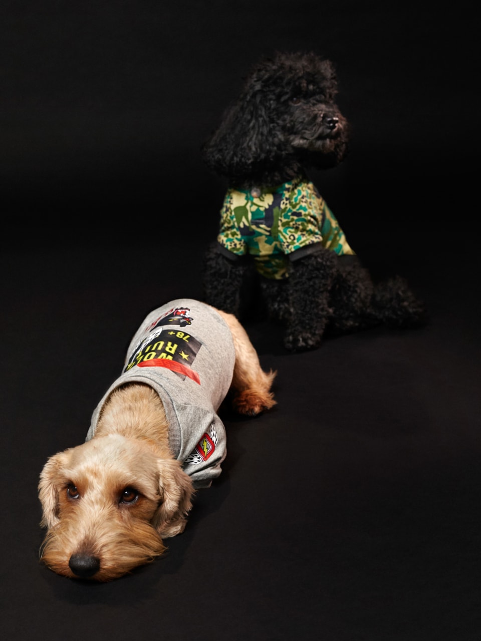 e10dc2293116cec97632b1413b4e5e