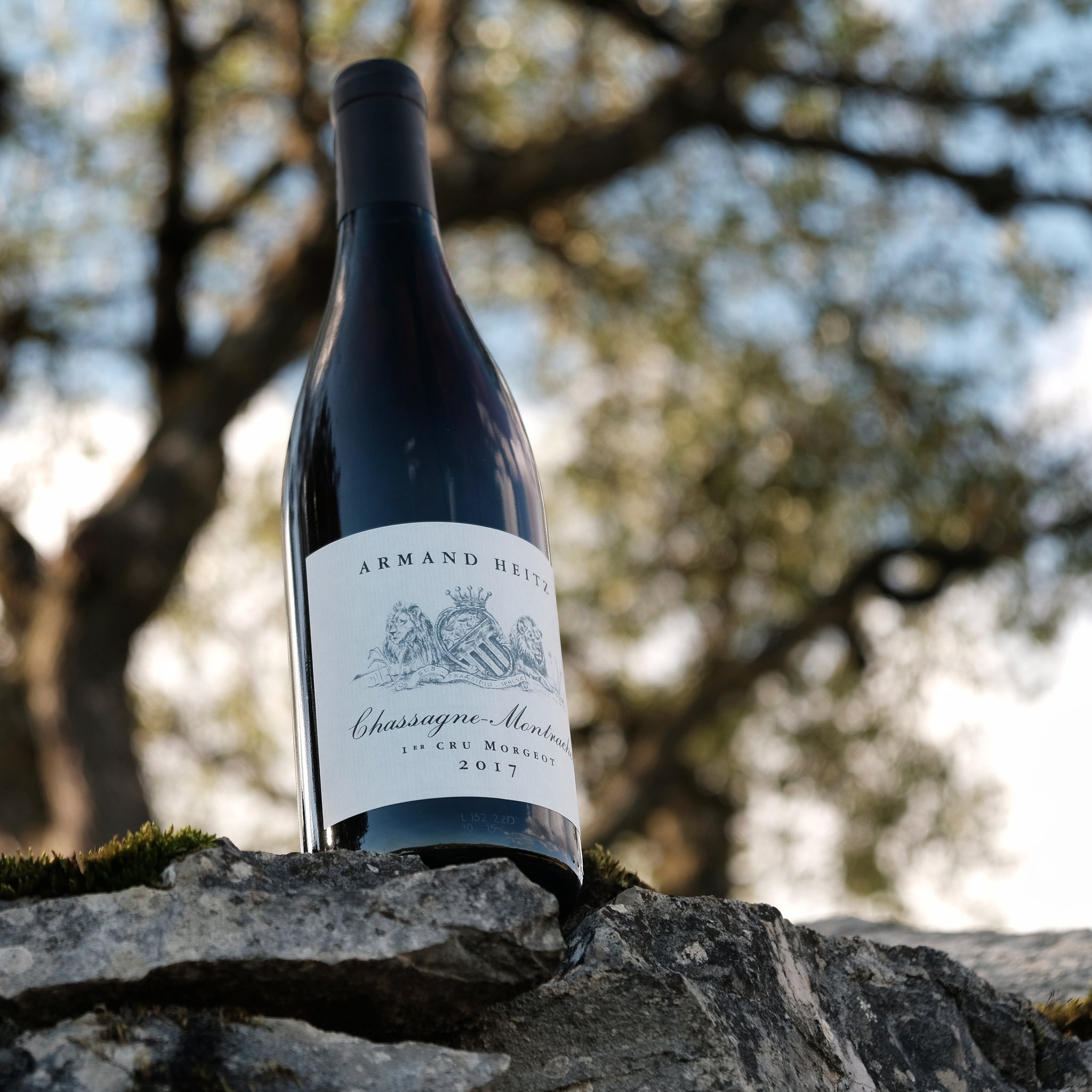 Chassagne-Montrachet 1er Cru - Morgeot pinot noir | Armand Heitz